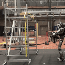 hover image
